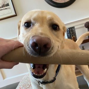 Meet your Posher, Sydney